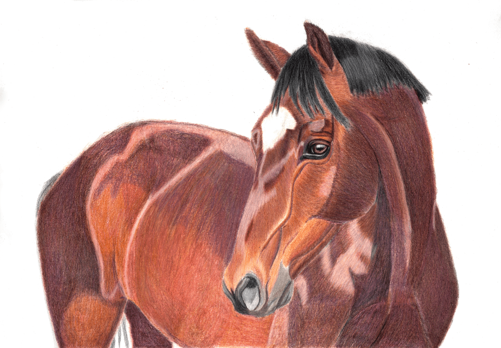 He’s handsome and he knows&nbsp;it