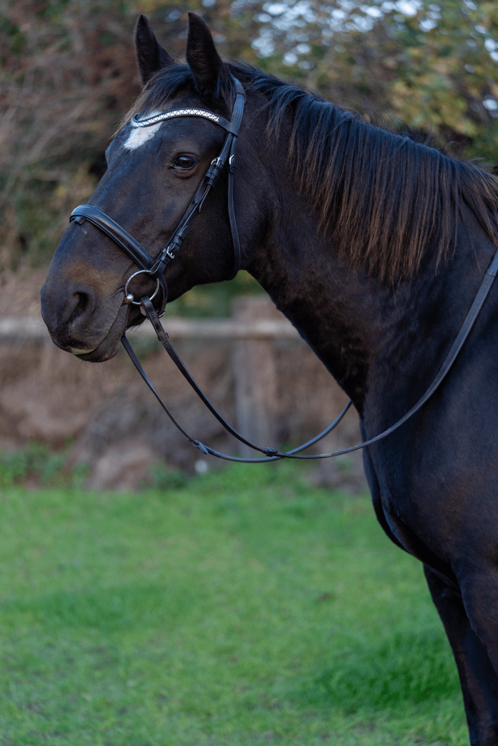 Places with Reference&nbsp;photos