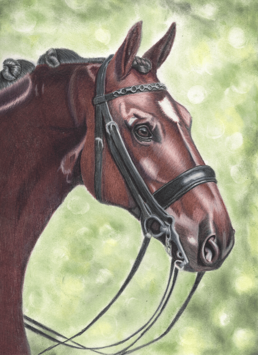 Valero the dressage&nbsp;horse